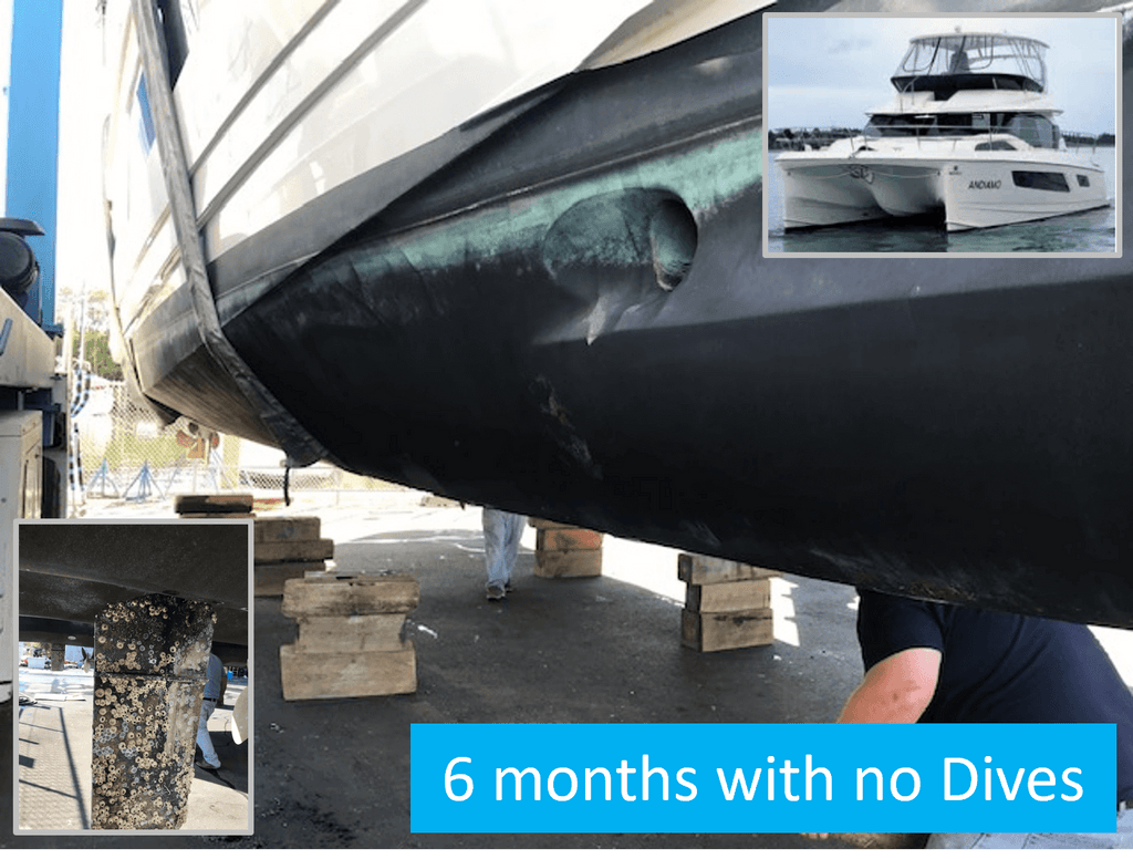 Aquila Power Catamaran's and Rudder Testimony on the effectiveness of CleanAHull Ultrasonic Antifouling System.